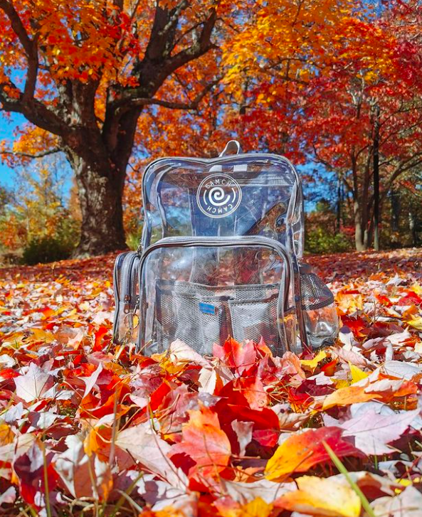 backpack, Transparent backpack